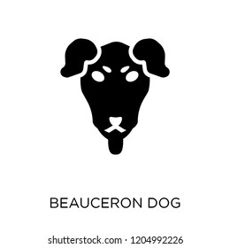 Beauceron dog icon. Beauceron dog symbol design from Dogs collection. Simple element vector illustration on white background.