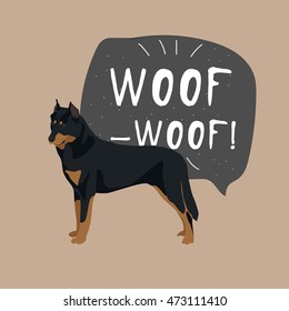 Beauceron dog illustration colorful french dog background with hand drawn banner