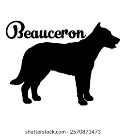 Beauceron dog silhouette, dog breeds, logo, vector, silhouette,  animal, illustration, icon, sign, design, black, symbol, pet, love
