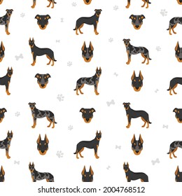 Beauceron seamless pattern. Different coat colors and poses set.  Vector illustration