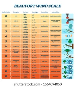 Beaufort wind scale vector illustration. Labeled air energy strength scheme. Educational meteorology characteristic diagram with division system to separate breeze from gales, storms and hurricanes.