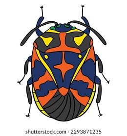 Beauiful beetle colorful wings ,good for graphic design resources, posters, banners, templates, prints, coloring books and more.