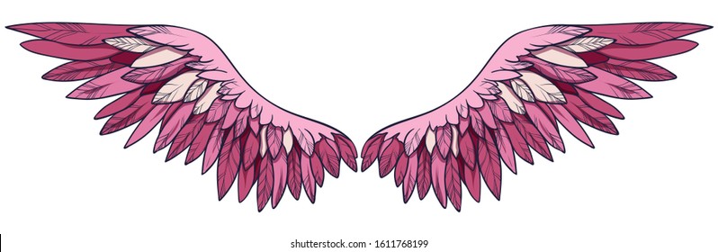 Beauiful magic pink flamingo wings, vector