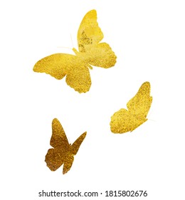 Beautifil Butterfly Golden Glitter Silhouette Isolated on White Background Vector Illustration EPS10