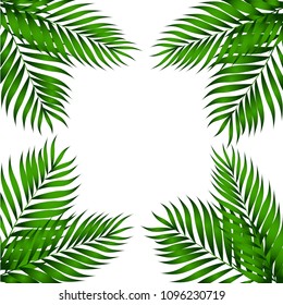 Beautifil Palm Tree Leaf Silhouette Background Vector Illustration