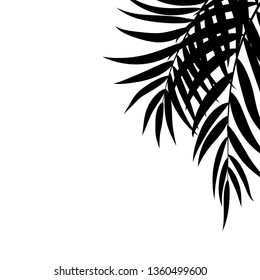 Beautifil Palm Tree Leaf  Silhouette Background Vector Illustration EPS10
