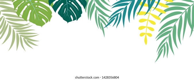 Beautifil Palm Tree Leaf  Silhouette Background Vector Illustration EPS10