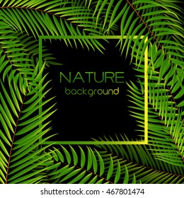 Beautifil Palm Tree Leaf  Silhouette Background Vector Illustration EPS10