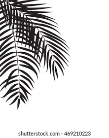 Beautifil Palm Tree Leaf  Silhouette Background Vector Illustration EPS10