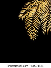 Beautifil Palm Tree Leaf  Silhouette Background Vector Illustration EPS10