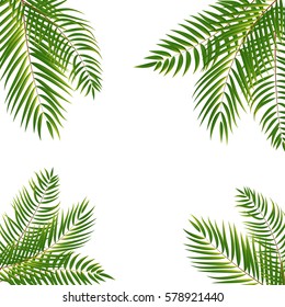 Beautifil Palm Tree Leaf  Silhouette Background Vector Illustration EPS10