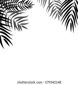 Beautifil Palm Tree Leaf  Silhouette Background Vector Illustration EPS10