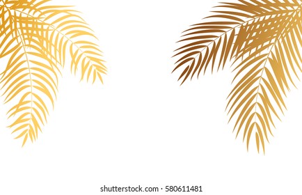 Beautifil Palm Tree Leaf  Silhouette Background Vector Illustration EPS10