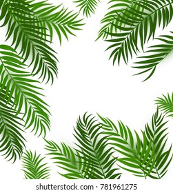 Beautifil Palm Tree Leaf  Silhouette Background Vector Illustration EPS10
