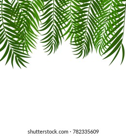Beautifil Palm Tree Leaf  Silhouette Background Vector Illustration EPS10