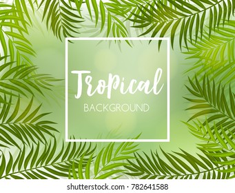 Beautifil Palm Tree Leaf  Silhouette Background Vector Illustration EPS10