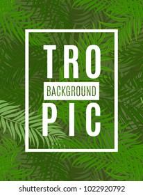 Beautifil Palm Tree Leaf Tropical Silhouette Background Vector Illustration EPS10