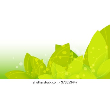 Beautiful abstract background with gradient and radiance. Vector illustration. Natural green, sunny background. flowers on spring background.
