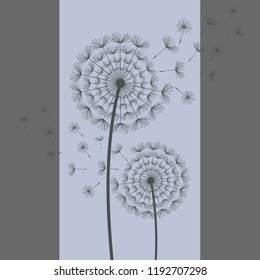 Beautiful abstract blue, grey background with two stylized black dandelions blowing. Floral stylish trendy wallpaper with summer or spring flower and flying fluff. Modern backdrop. Vector illustration