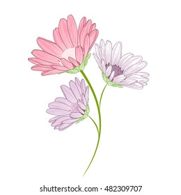 Beautiful abstract floral background with hand-drawn flower chamomile. Vector illustration. Element for design.