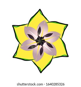 Beautiful Abstract Flower Logo Vector Illustration. Can be used for design elements vector