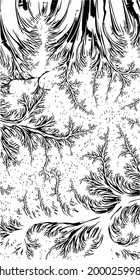 Beautiful abstract fractal  pattern black vector