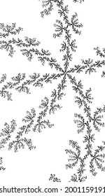 Beautiful abstract fractal  pattern black vector