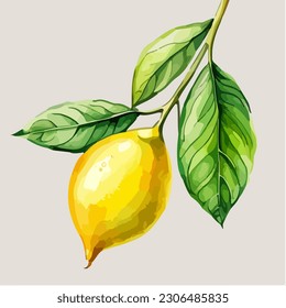 Beautiful abstract lemon fruit with green leafs, watercolor dye painting, vector EPS 10 illustration