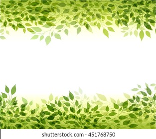 Beautiful abstract light background with green branches and leaves