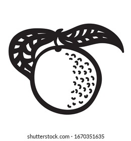 Beautiful abstract orange. Vector illustration