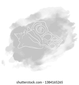 beautiful abstract sea shell vector illustration