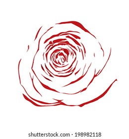 beautiful abstract sketch red rose with the effect of a watercolor drawing isolated on white background.