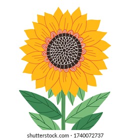 Beautiful abstract sunflower, isolated vector illustration