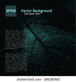 Beautiful abstract vector background in futuristic style with leaf.