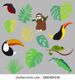 Beautiful abstract vector illustration with tropical set for decorative design. Palm, monstera and banana leaves. Vector design template. Trendy retro style. Sloth, toucans, chameleon