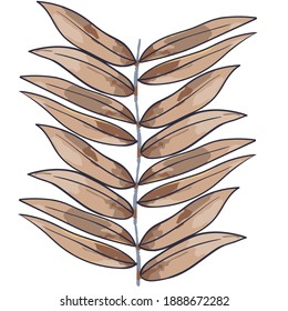 Beautiful abstract vector leaves and woods illustration