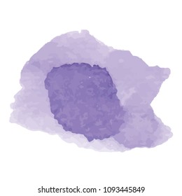 beautiful abstract violet watercolor art hand paint on white background,brush textures for logo.There is a place for text.Perfect stroke design for headline.luxury boutique Illustrations.