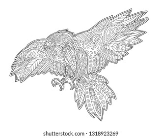 Hawk Coloring Book High Res Stock Images Shutterstock
