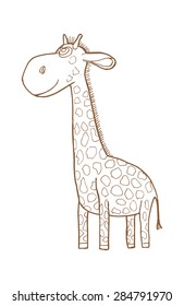 Beautiful adult Giraffe looking at us, illustration on white