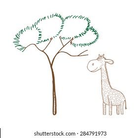 Beautiful adult Giraffe looking at us, illustration on white