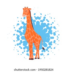 Beautiful adult Giraffe standing. Vector illustration in flat style isolated.