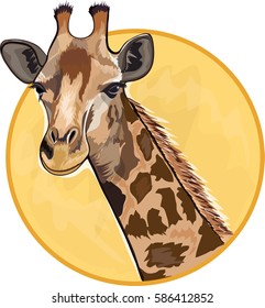 Beautiful adult giraffe, vector.