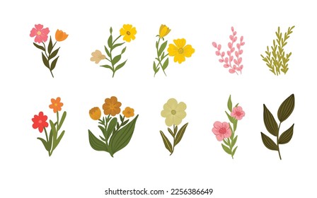 Beautiful and Aesthetic Summer Flower Cartoon Illustration