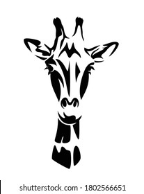 beautiful african giraffe looking forward - wild animal black and white vector head portrait