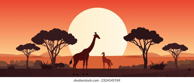 Hermoso paisaje africano al atardecer con jirafas, árboles y arbustos. Paisaje africano Sunset en África. Silhouettes de Sabana. Ilustración vectorial de Savannah.