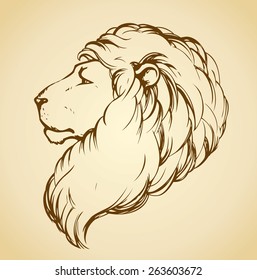 Beautiful african proud powerful nobility adult big leo with furry mane fierce calm looking for prey. Vector freehand ink drawn background sketch in art scribble style pen on paper with space for text