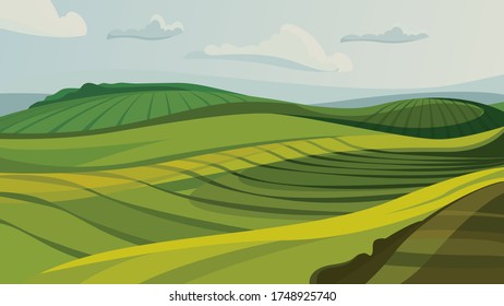 Beautiful agricultural fields. Summer nature scenery.