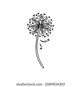 Beautiful airy, fluffy dandelion in abstract style vector illustration isolated on white background. Blossoming flower with seeds flying in wind, blooming flower on stem, field, meadow flowering plant