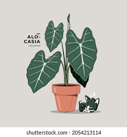 beautiful alocasia plant illustration background