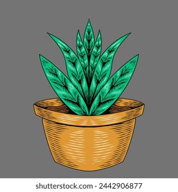 Beautiful aloe vera flowers using line and color drawing techniques